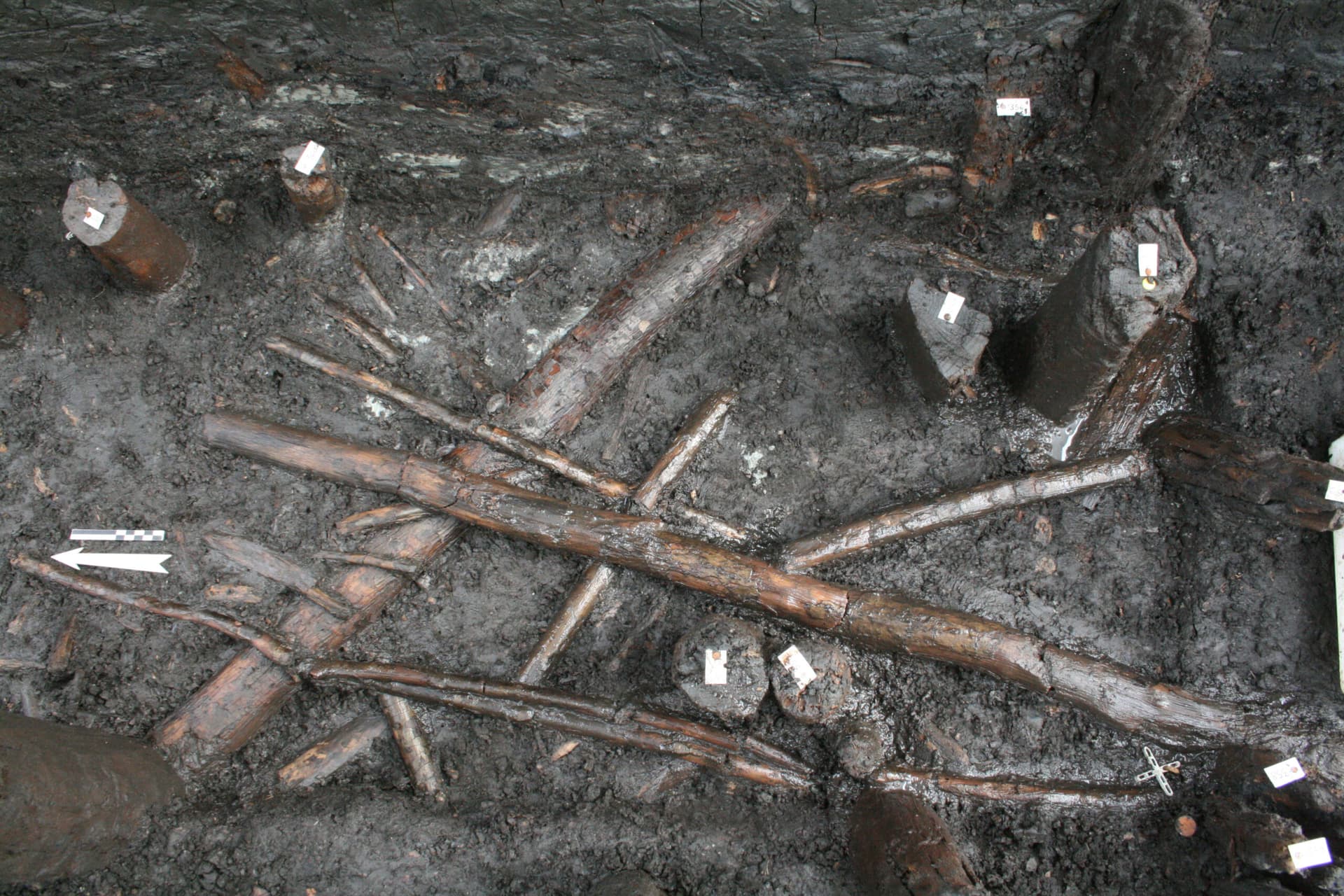 Immagine degli scavi archeologici a Palù